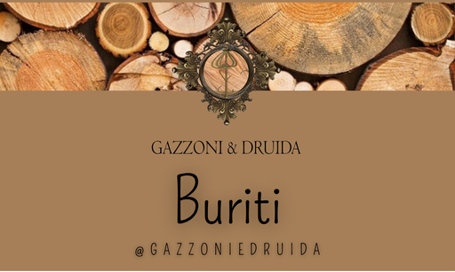 [ESS-AMD-03] Buriti