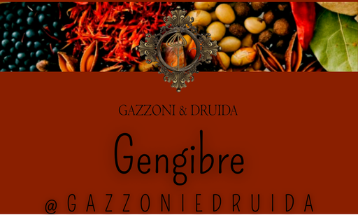 [ESS-ESP-09] Gengibre