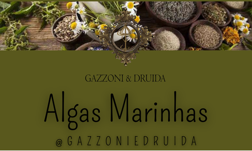 [ESS-HERB-04] Algas Marinhas