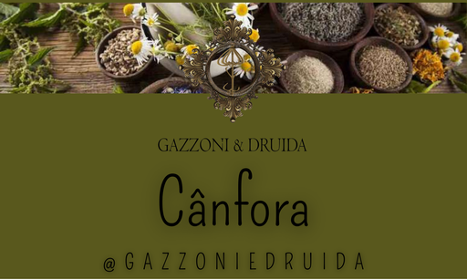 [ESS-HERB-06] Cânfora