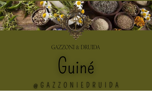 [ESS-HERB-13] Guiné